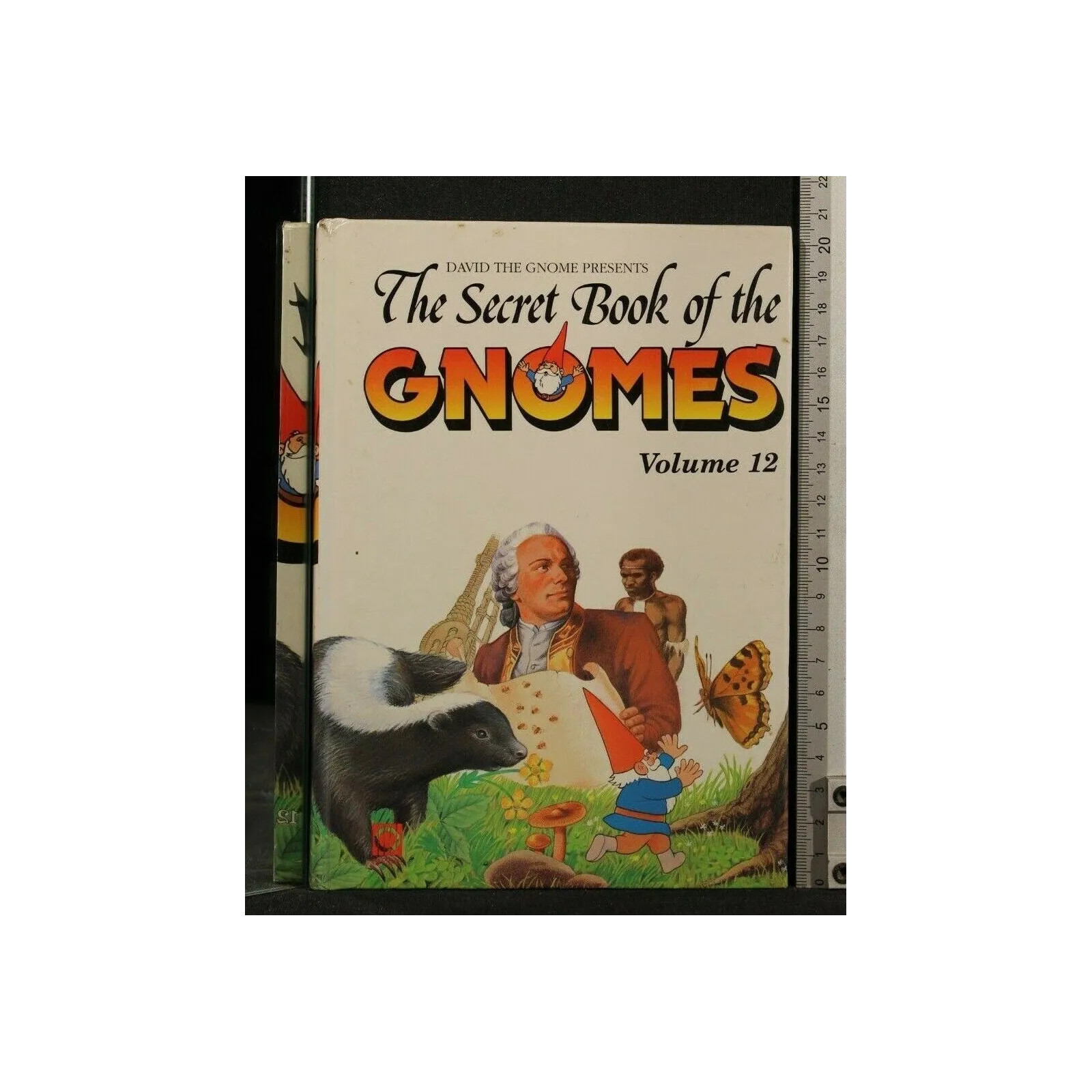 THE SECRET BOOK OF THE GNOMES VOLUME 12