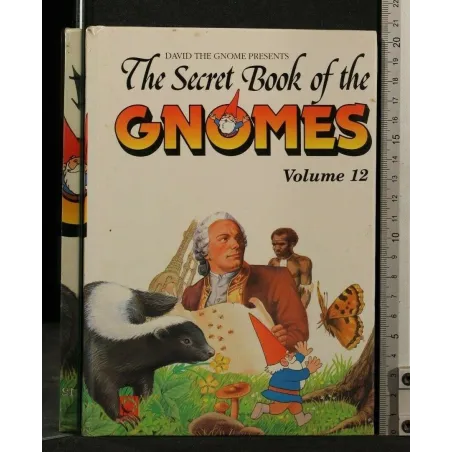 THE SECRET BOOK OF THE GNOMES VOLUME 12