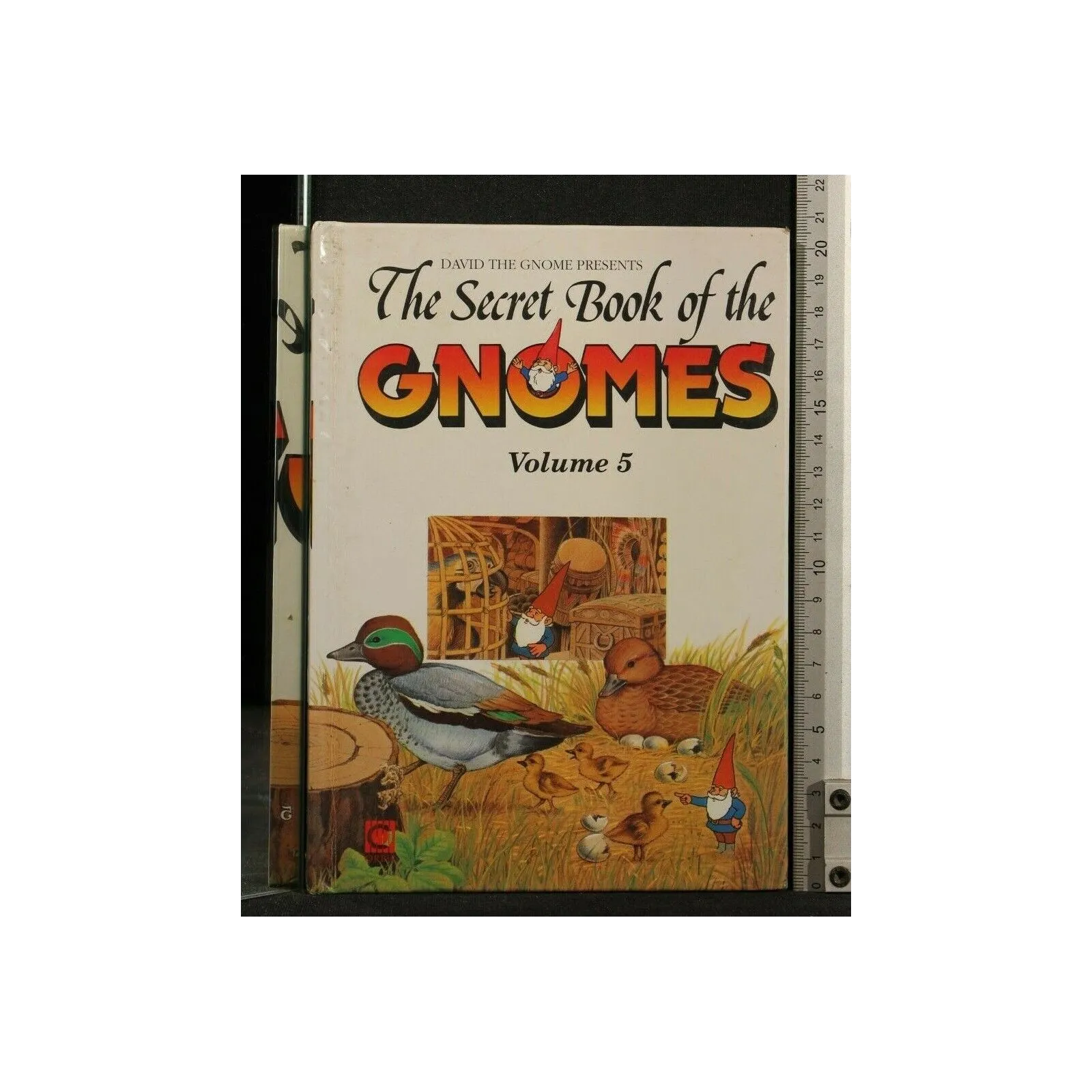 THE SECRET BOOK OF THE GNOMES VOLUME 5