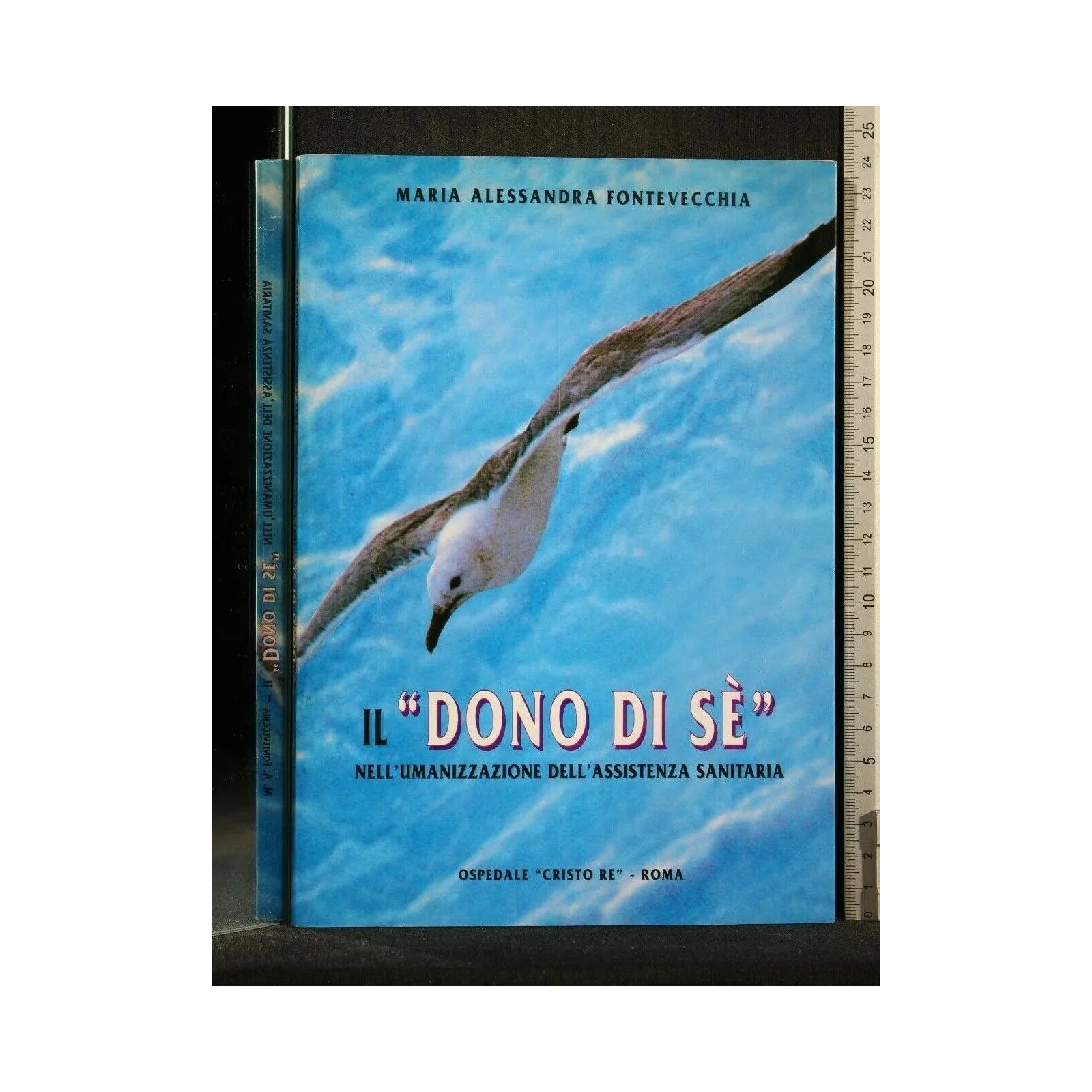 IL ''DONO DI SE'' NELL'UMANIZZAZIONE DELL'ASSISTENZA SANITARIA