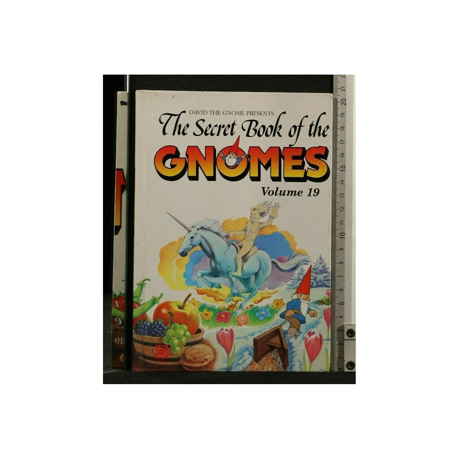 THE SECRET BOOK OF THE GNOMES VOLUME 19