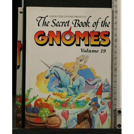 THE SECRET BOOK OF THE GNOMES VOLUME 19