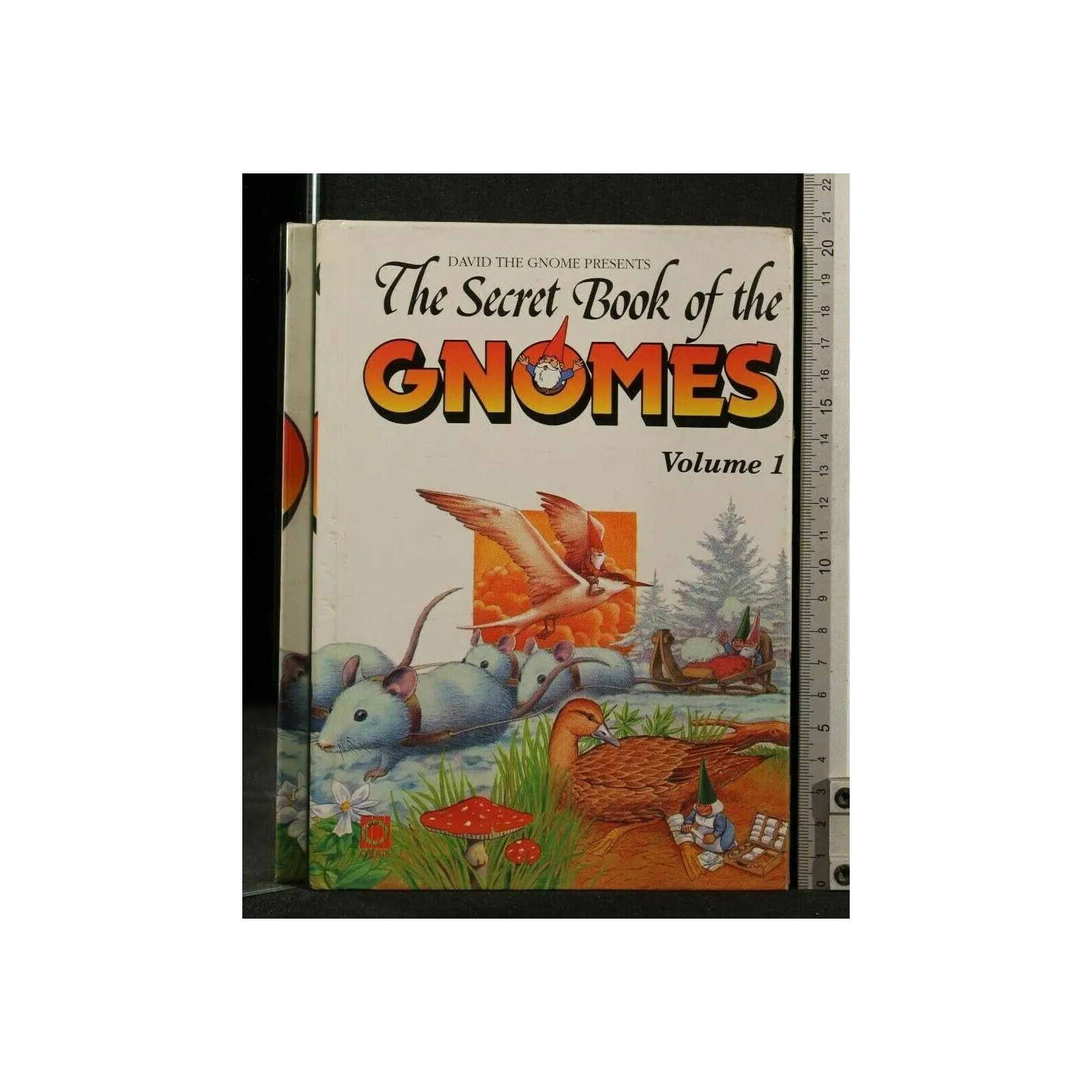 THE SECRET BOOK OF THE GNOMES VOLUME 1