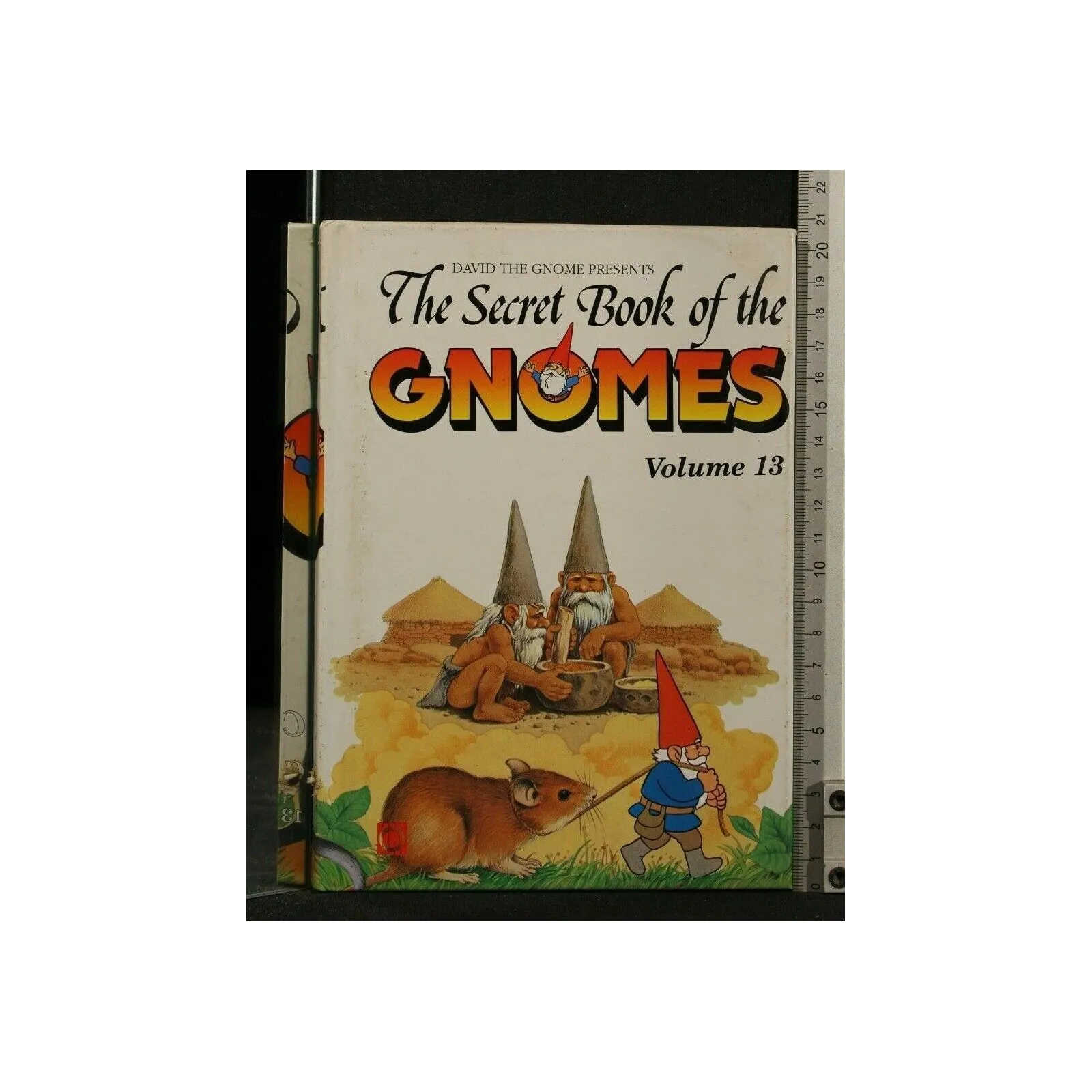 THE SECRET BOOK OF THE GNOMES VOLUME 13