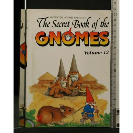 THE SECRET BOOK OF THE GNOMES VOLUME 13