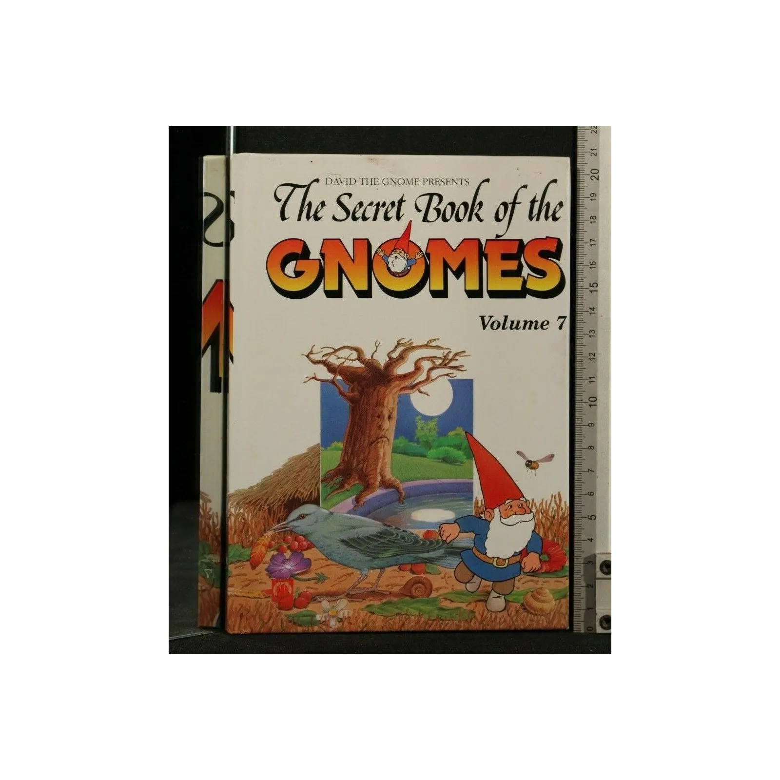 THE SECRET BOOK OF THE GNOMES VOLUME 7