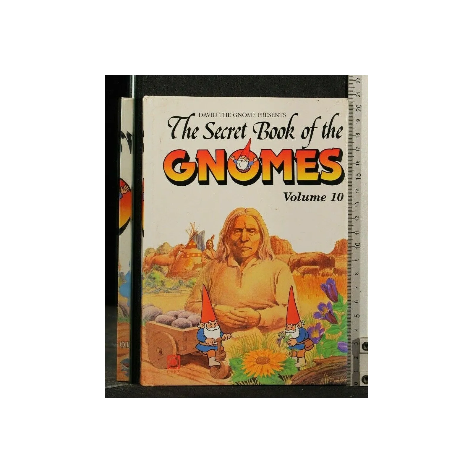 THE SECRET BOOK OF THE GNOMES VOLUME 10