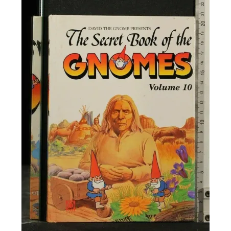 THE SECRET BOOK OF THE GNOMES VOLUME 10