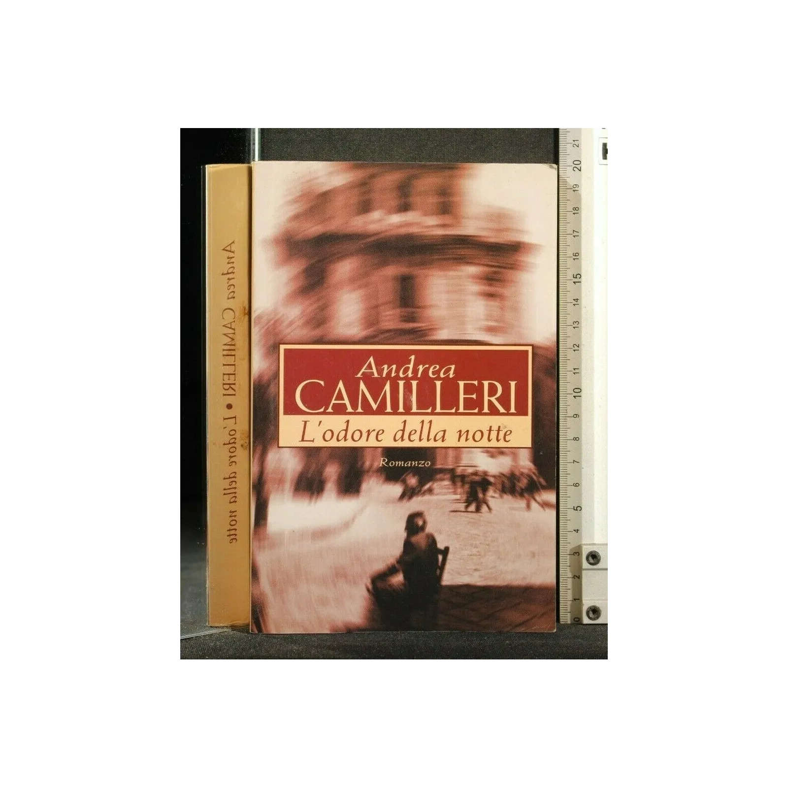 L'ODORE DELLA NOTTE