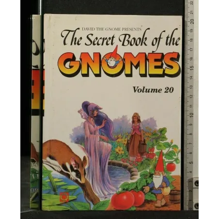 THE SECRET BOOK OF THE GNOMES VOLUME 20
