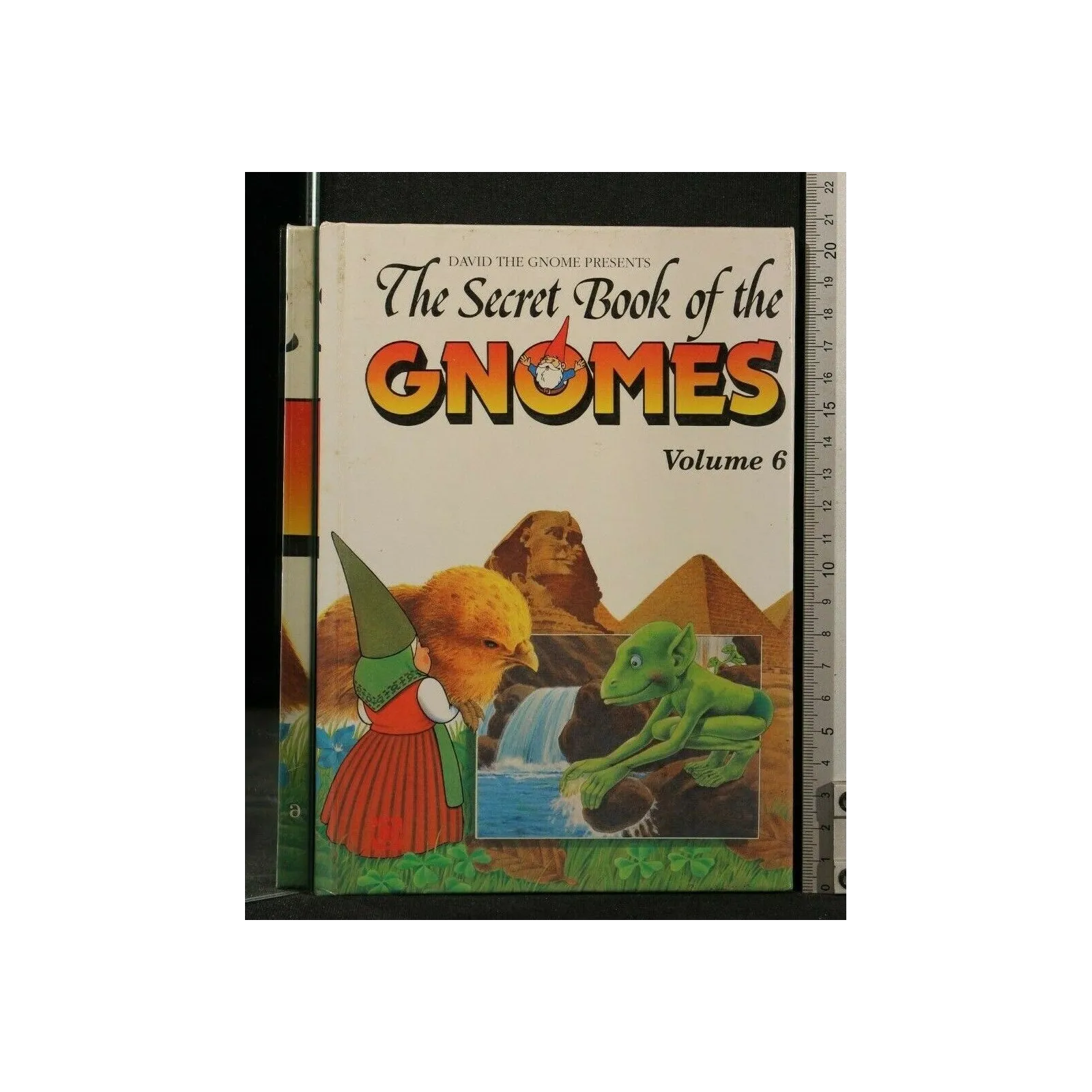 THE SECRET BOOK OF THE GNOMES VOLUME 6