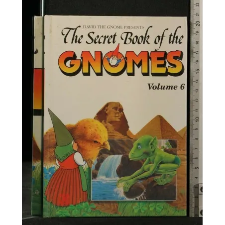 THE SECRET BOOK OF THE GNOMES VOLUME 6