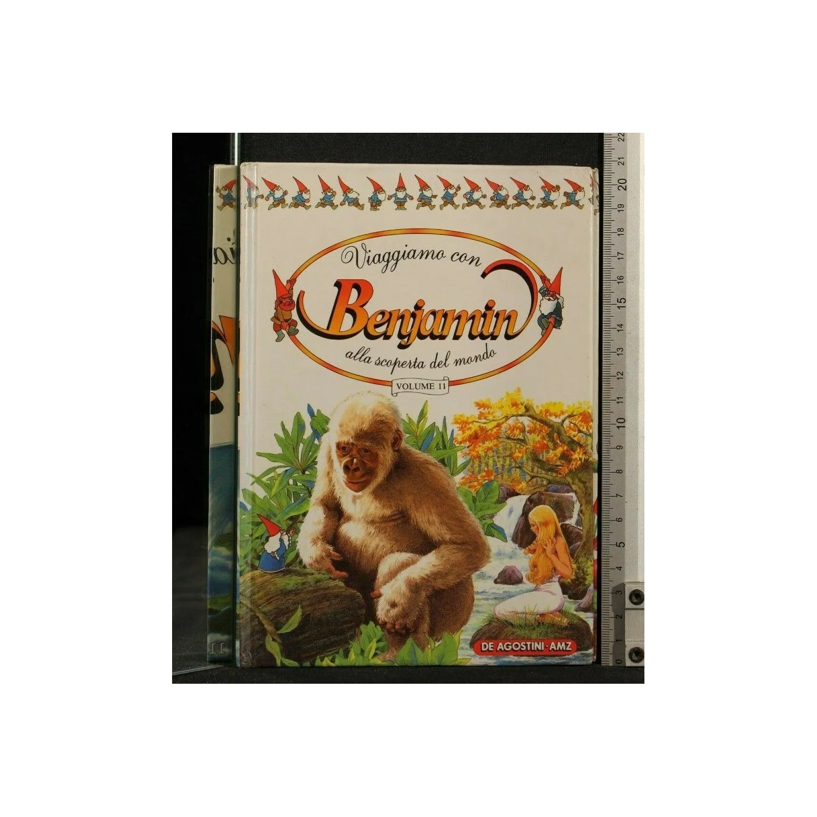 VIAGGIAMO CON BENJAMIN ALLA SCOPERTA DEL MONDO VOLUME 11