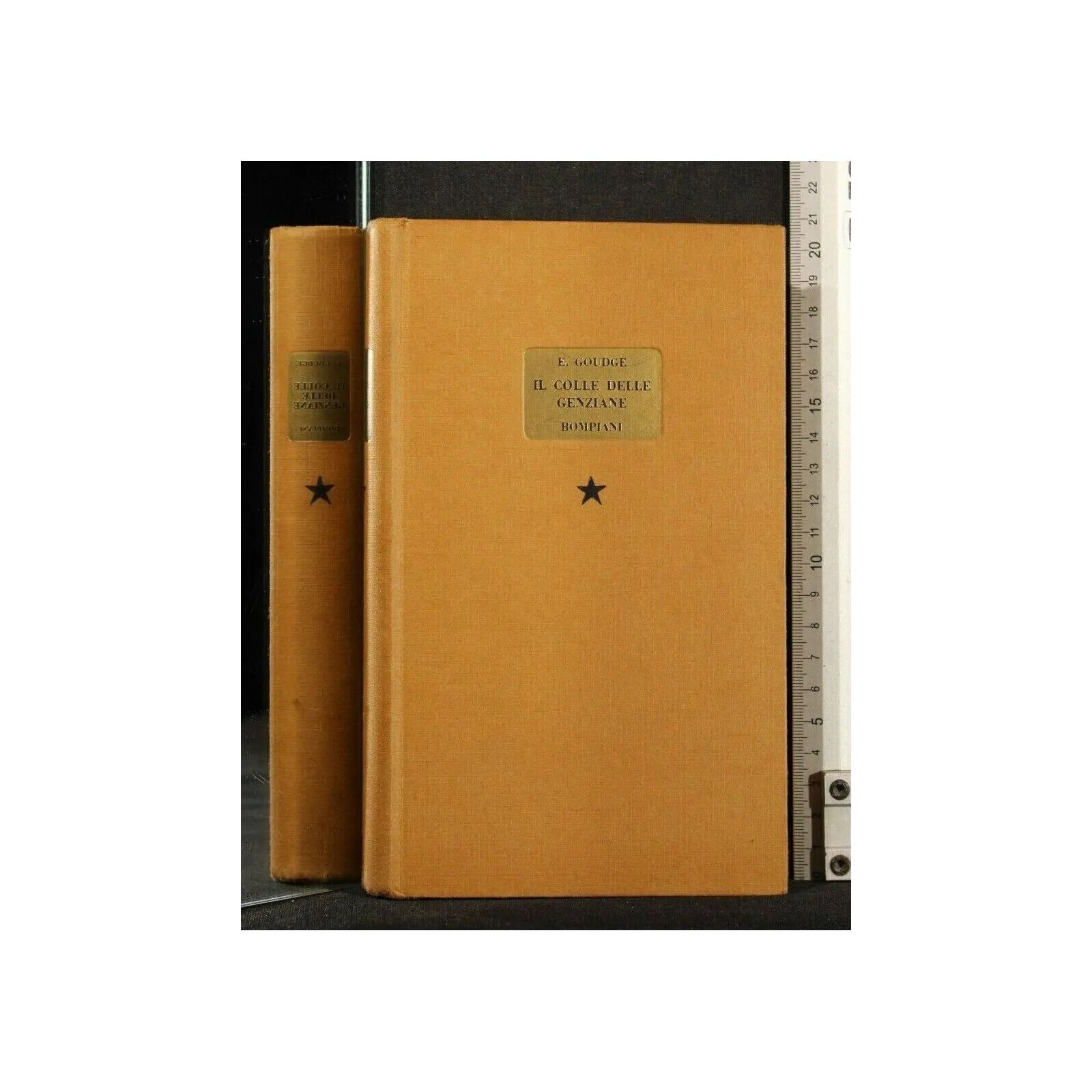 IL COLLE DELLE GENZIANE