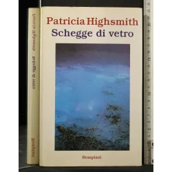 SCHEGGE DI VETRO