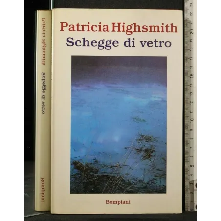 SCHEGGE DI VETRO