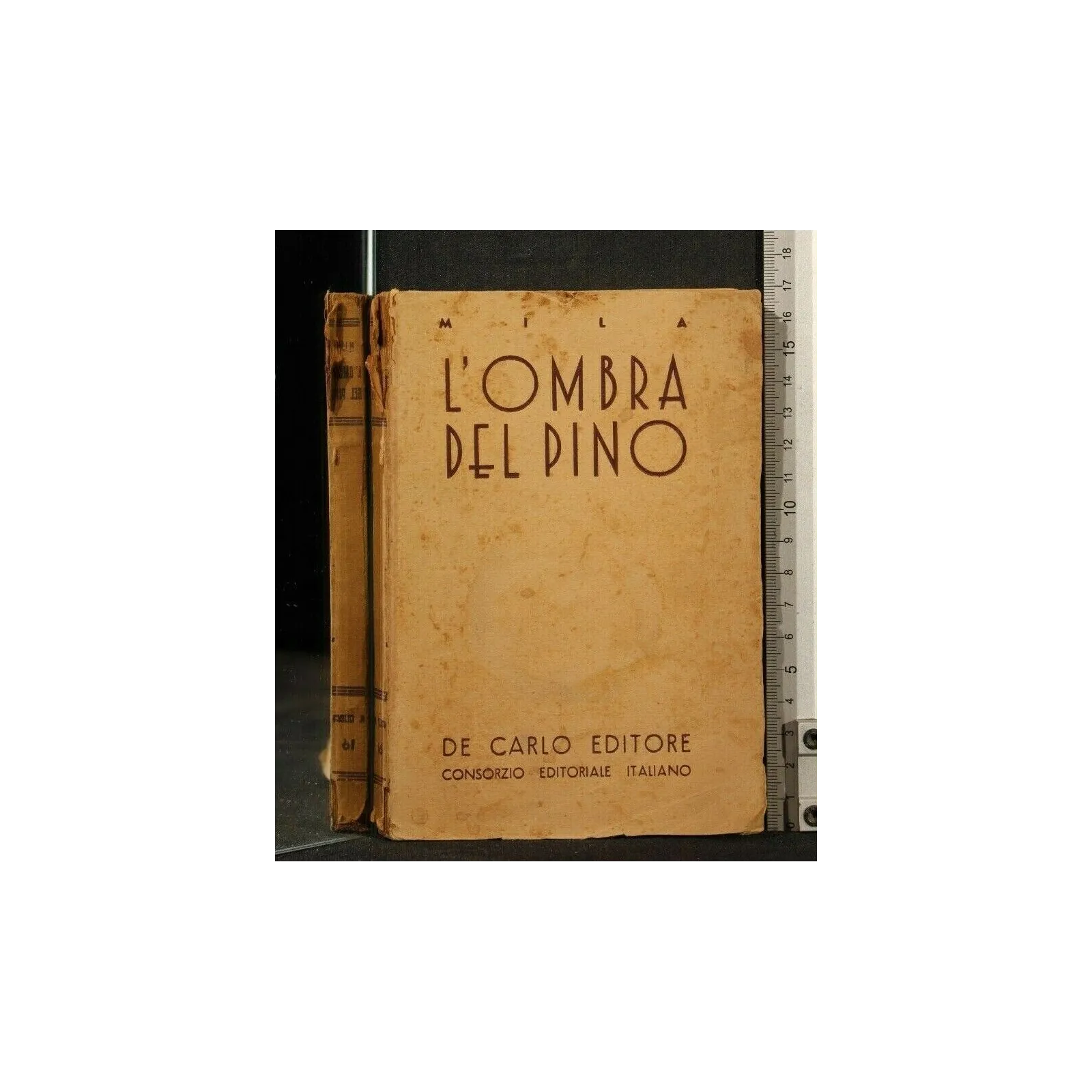 L'OMBRA DEL PINO