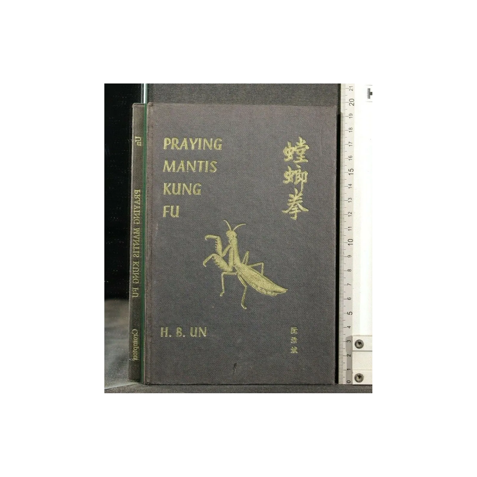 PRAYING MANTIS KUNG FU