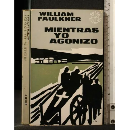 MIENTRAS YO AGONIZO