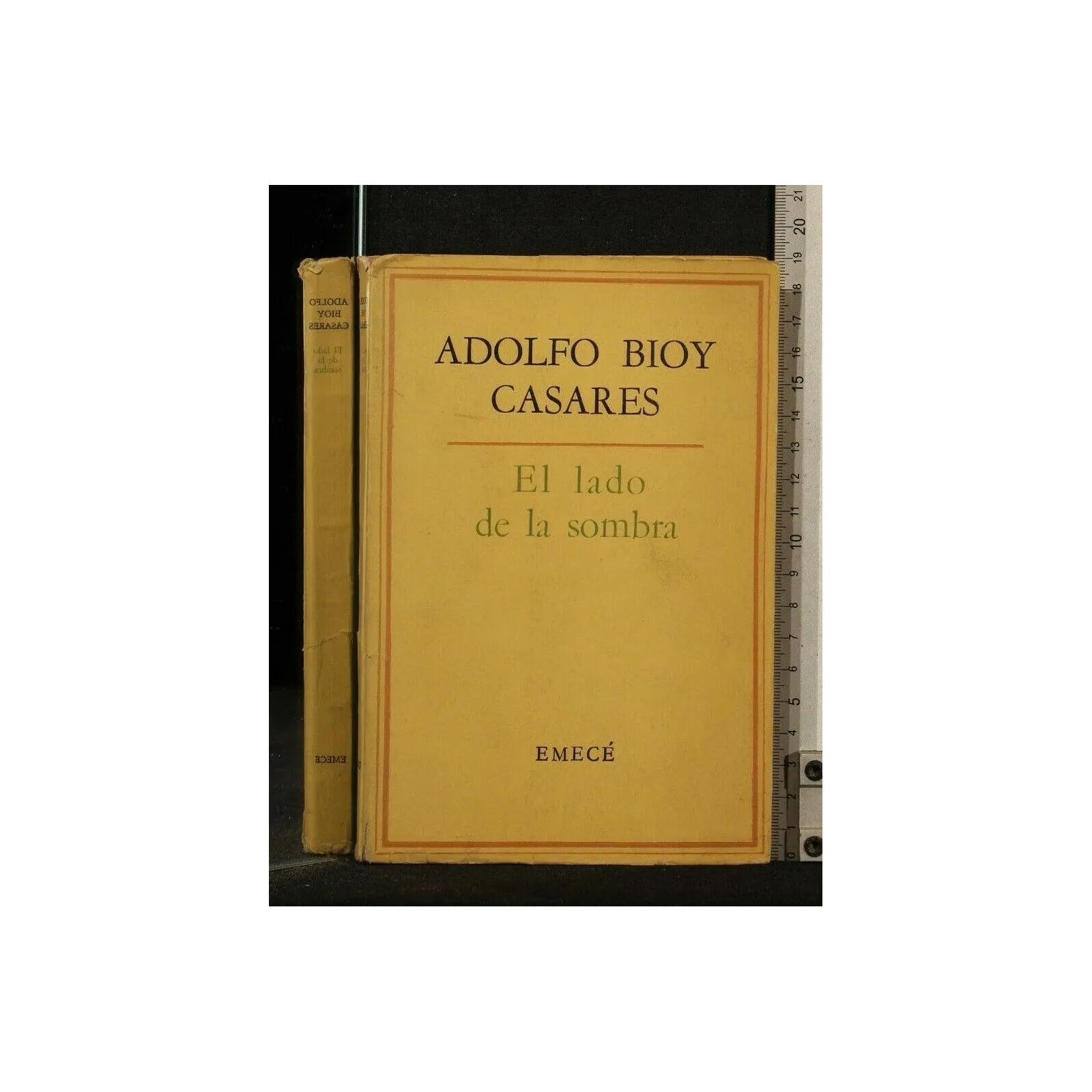 EL LADO DE LA SOMBRA