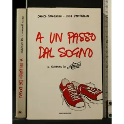 A UN PASSO DAL SOGNO IL ROMANZO DI AMICI