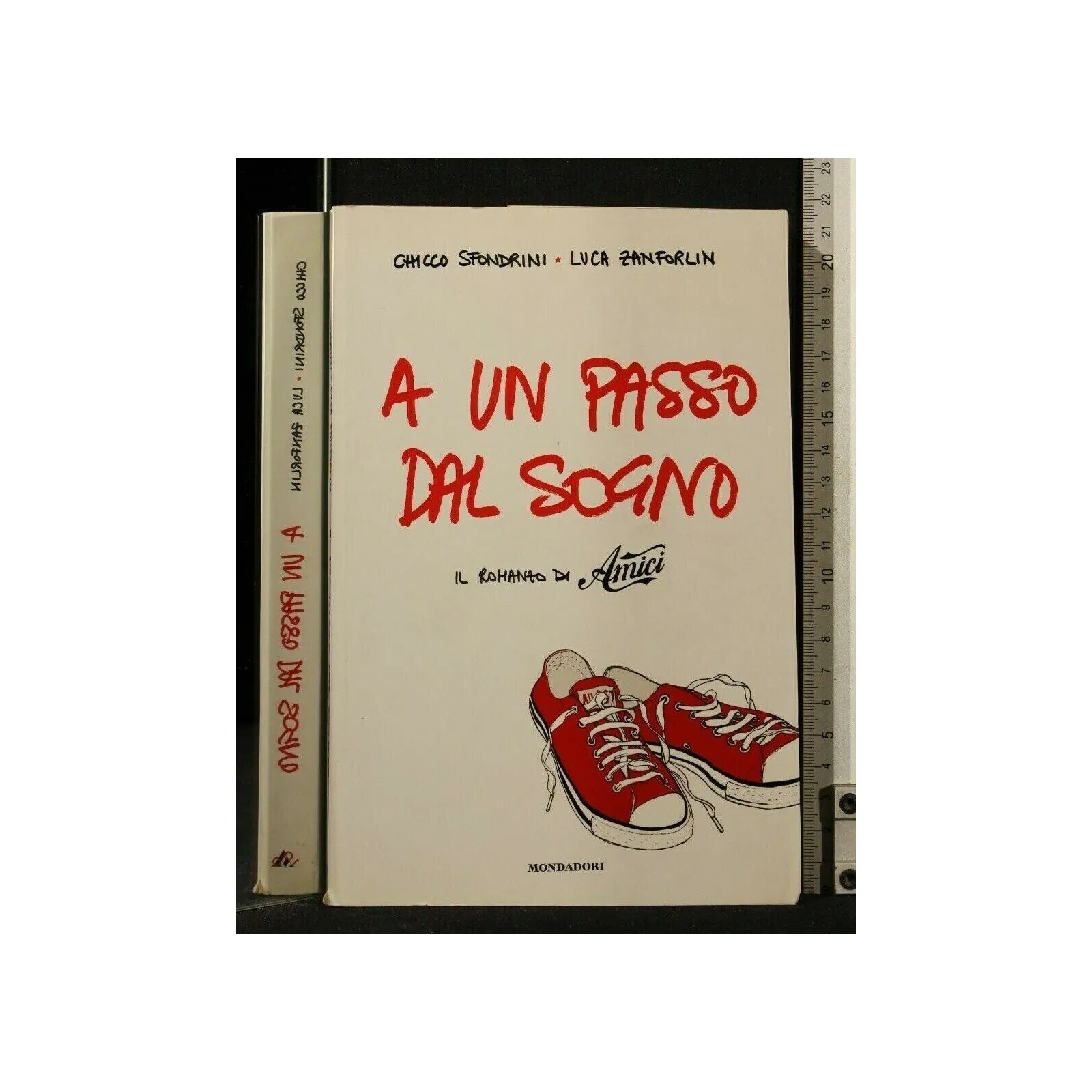 A UN PASSO DAL SOGNO IL ROMANZO DI AMICI