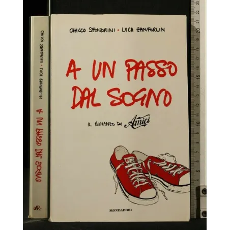 A UN PASSO DAL SOGNO IL ROMANZO DI AMICI