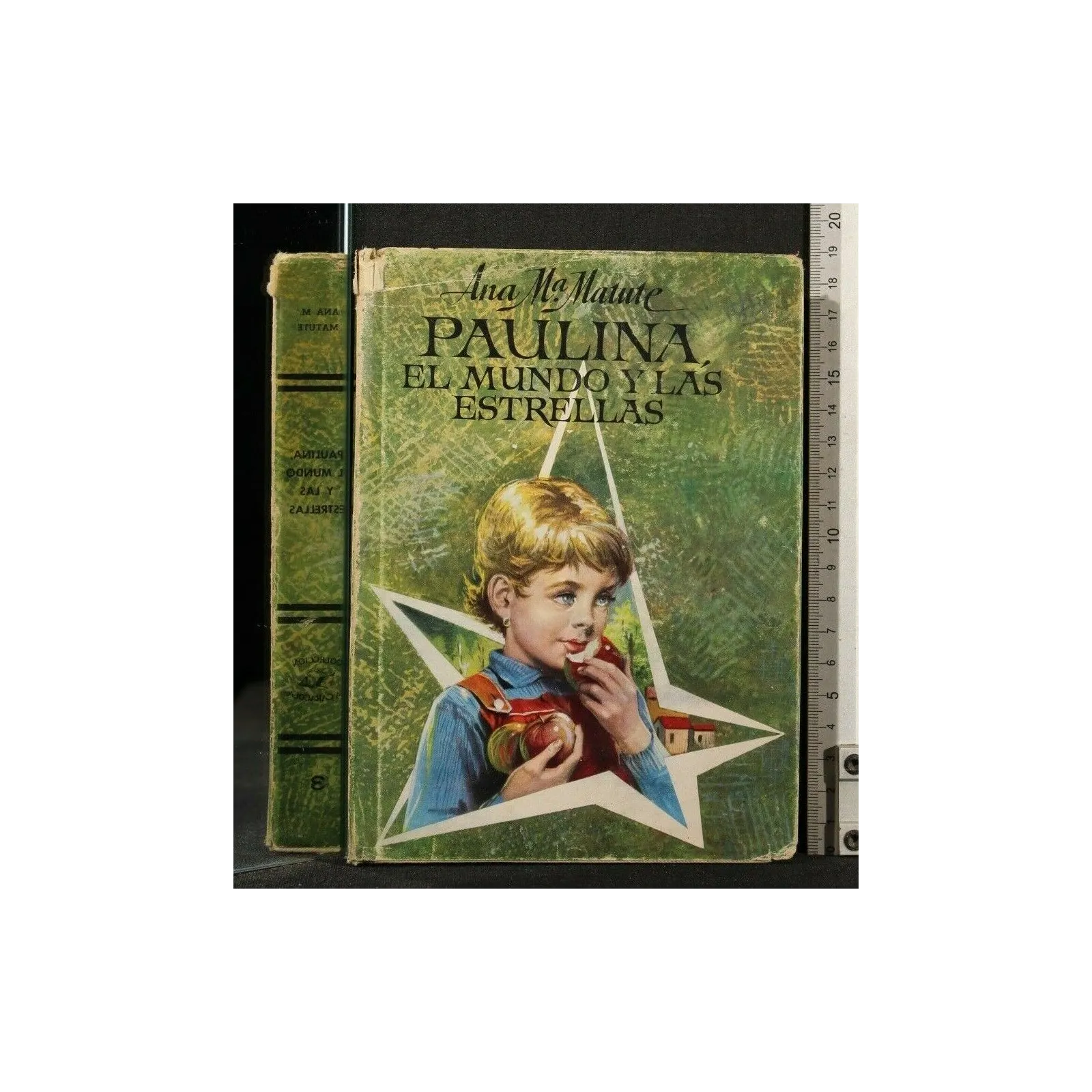 PAULINA, EL MUNDO Y LAS ESTRELLAS