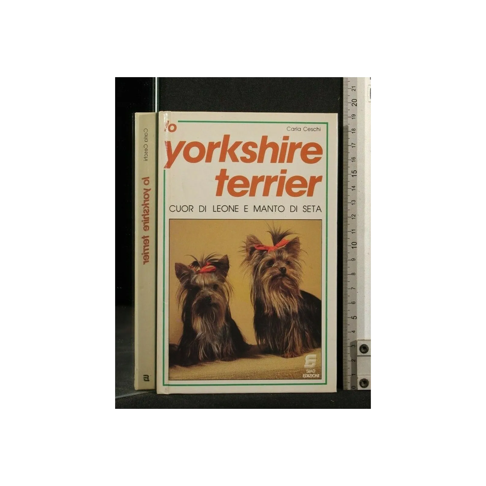 LO YORKSHIRE TERRIER