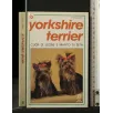 LO YORKSHIRE TERRIER