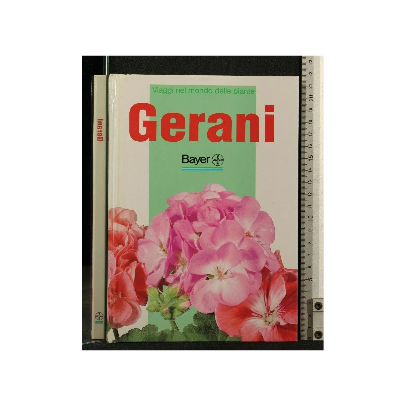 GERANI
