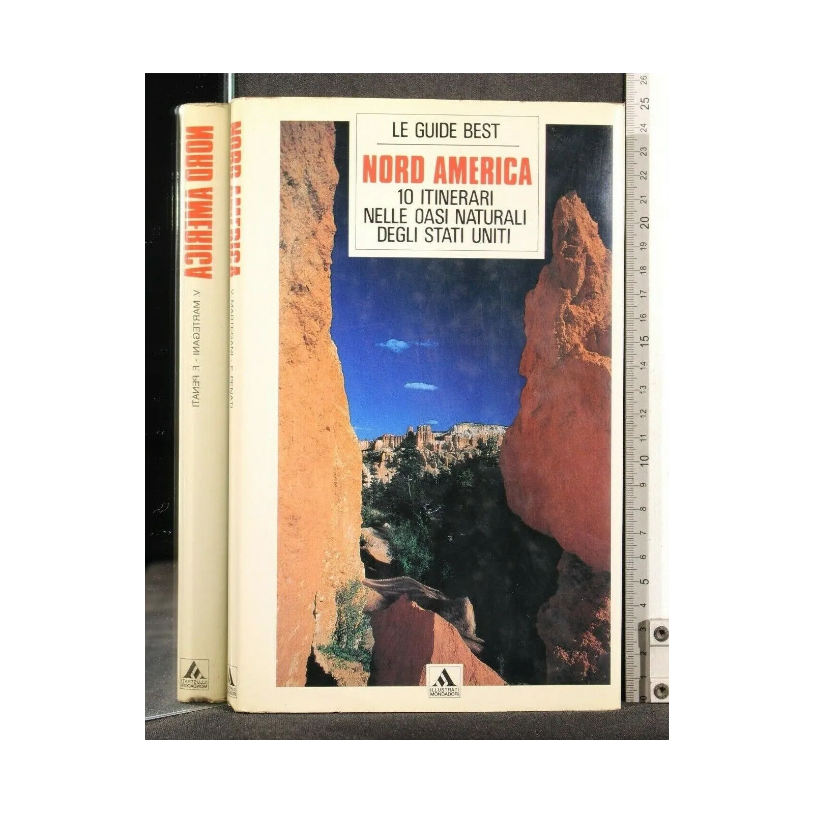 NORD AMERICA 10 ITINERARI NELLE OASI NATURALI DEGLI STATI UNITI