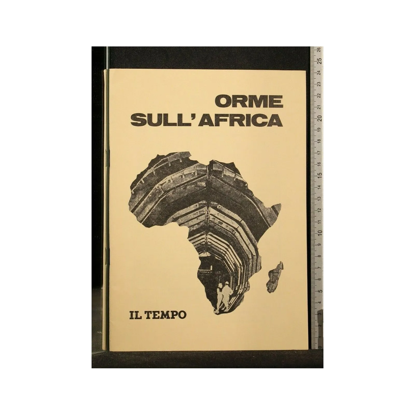 ORME SULL'AFRICA