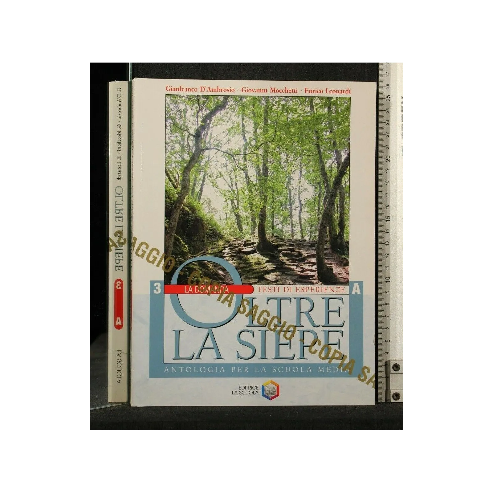 OLTRE LA SIEPE VOL 3