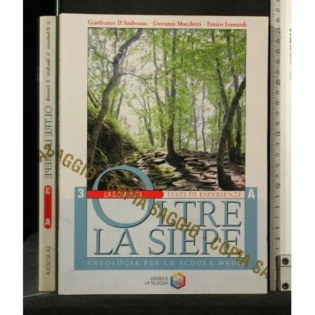 OLTRE LA SIEPE VOL 3