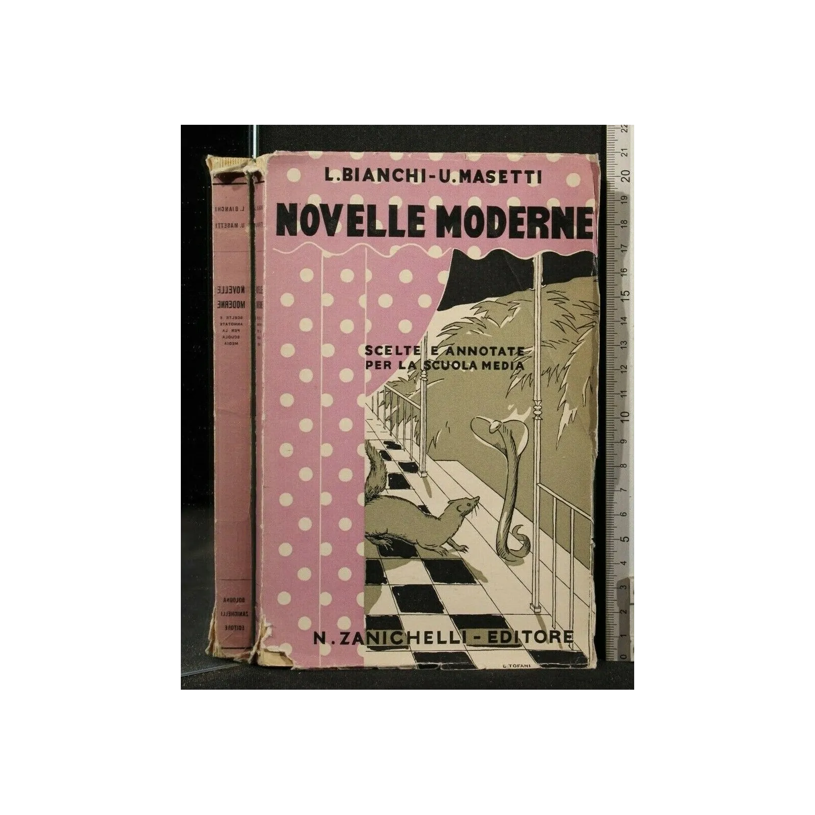 NOVELLE MODERNE