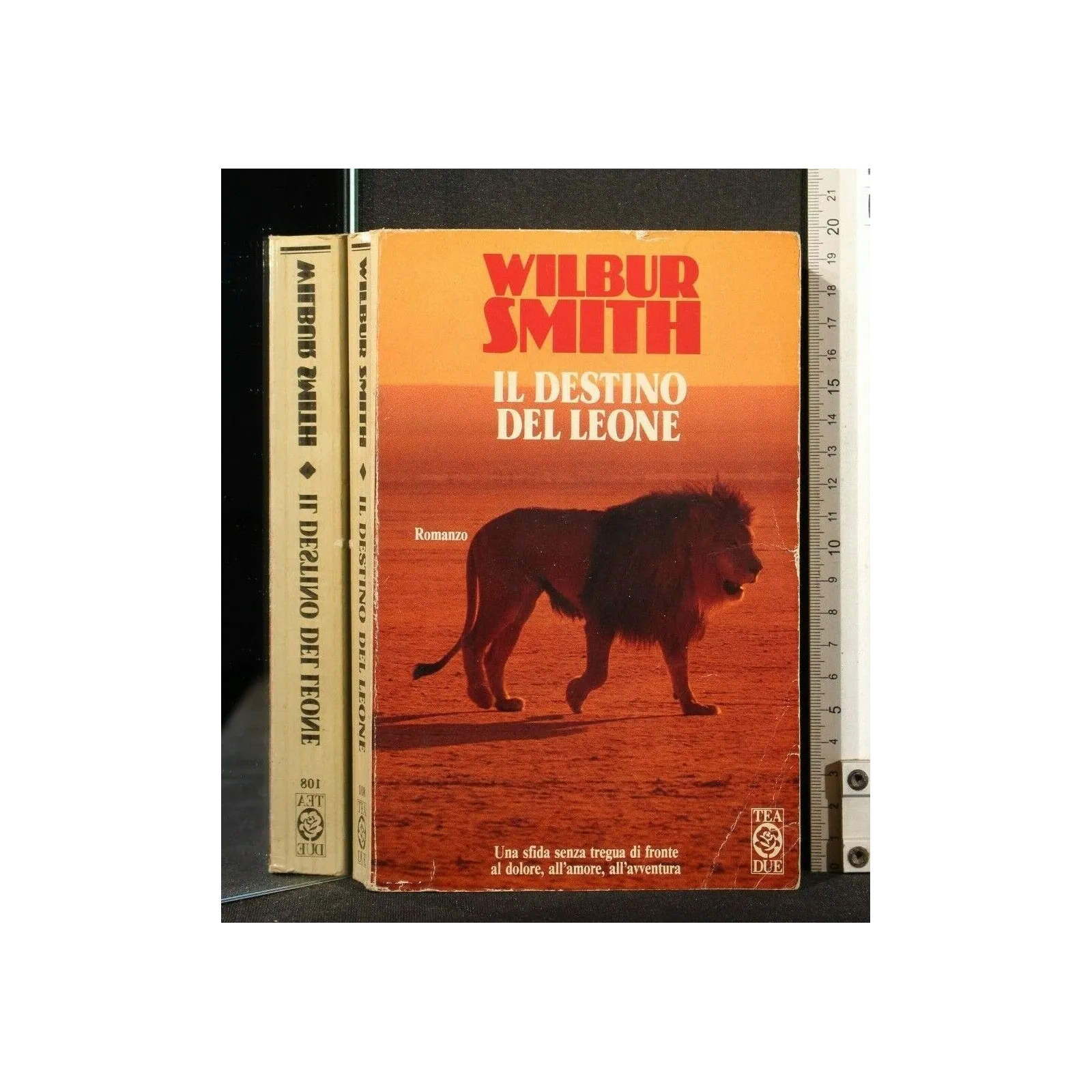IL DESTINO DEL LEONE