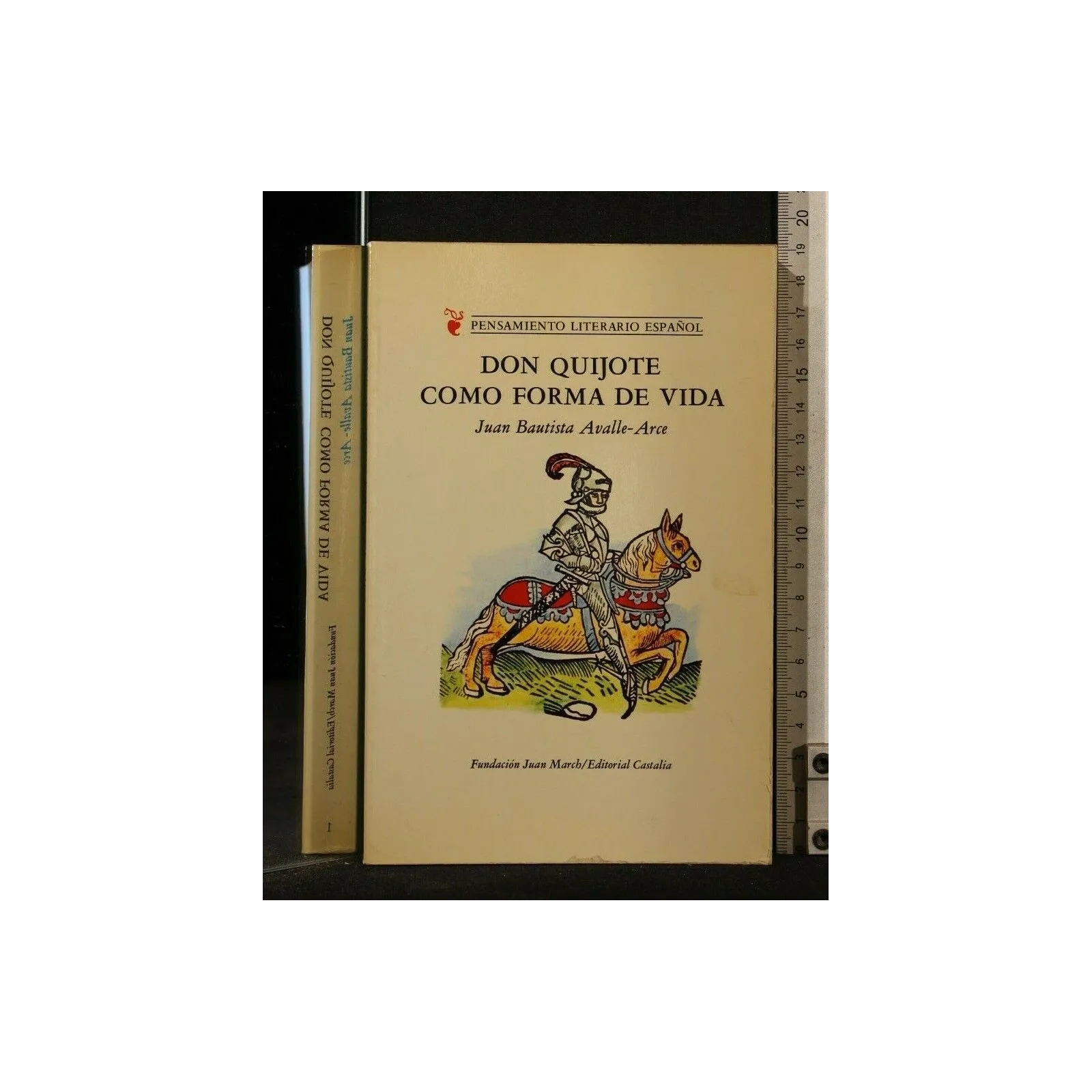 DON QUIJOTE COMO FORMA DE VIDA