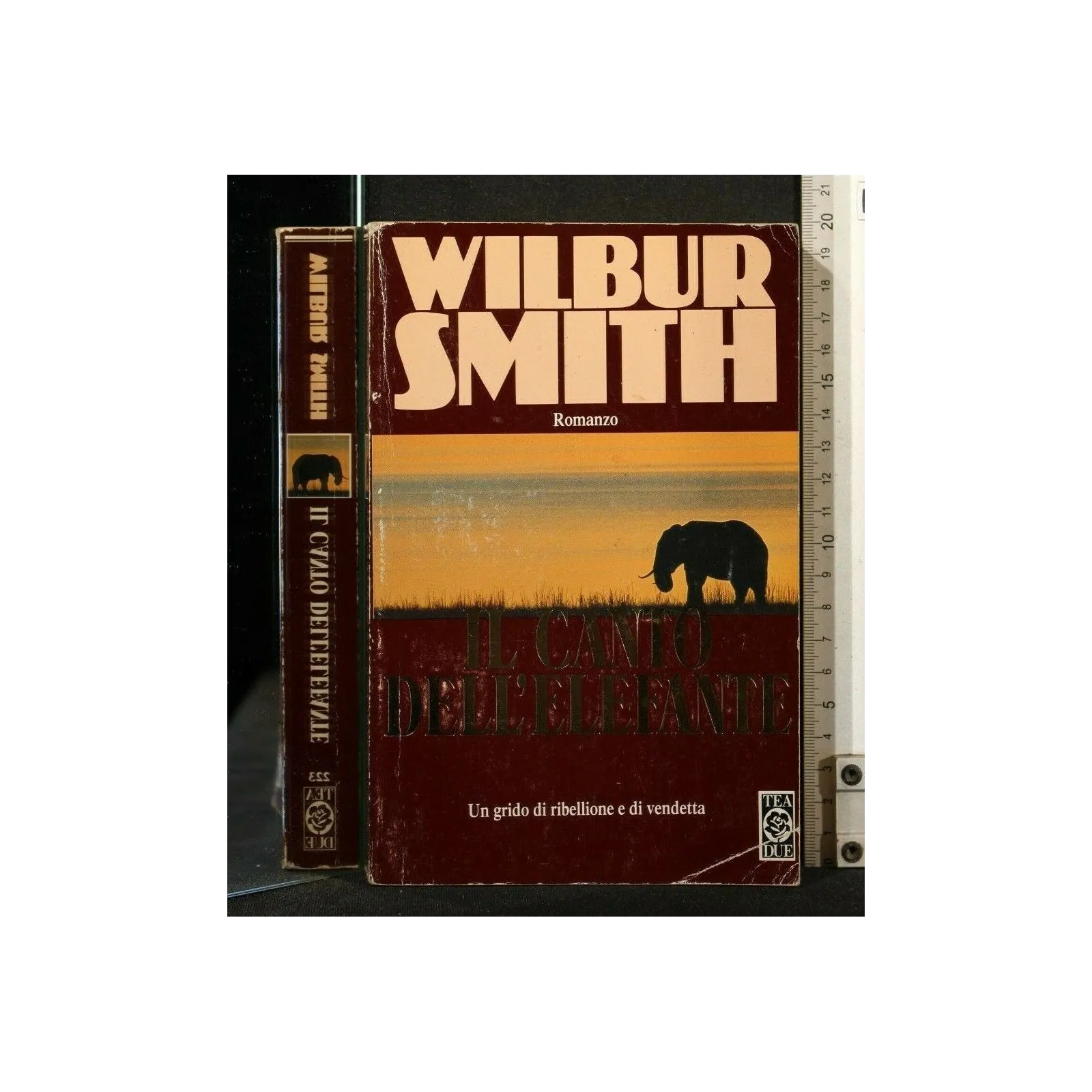 IL CANTO DELL'ELEFANTE