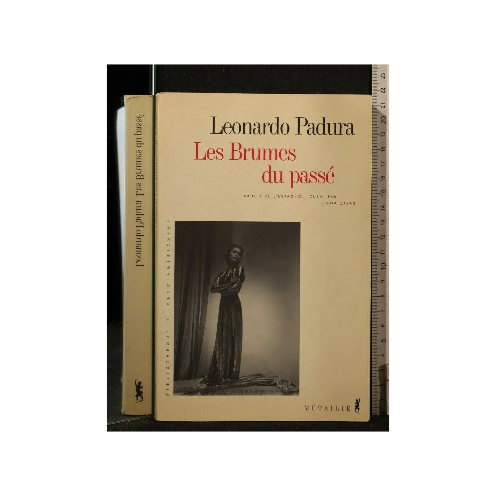 LES BRUMES DU PASSE'