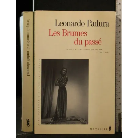 LES BRUMES DU PASSE'