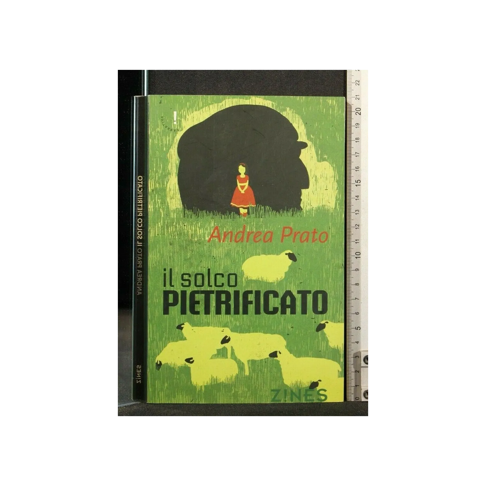 IL SOLCO PIETRIFICATO