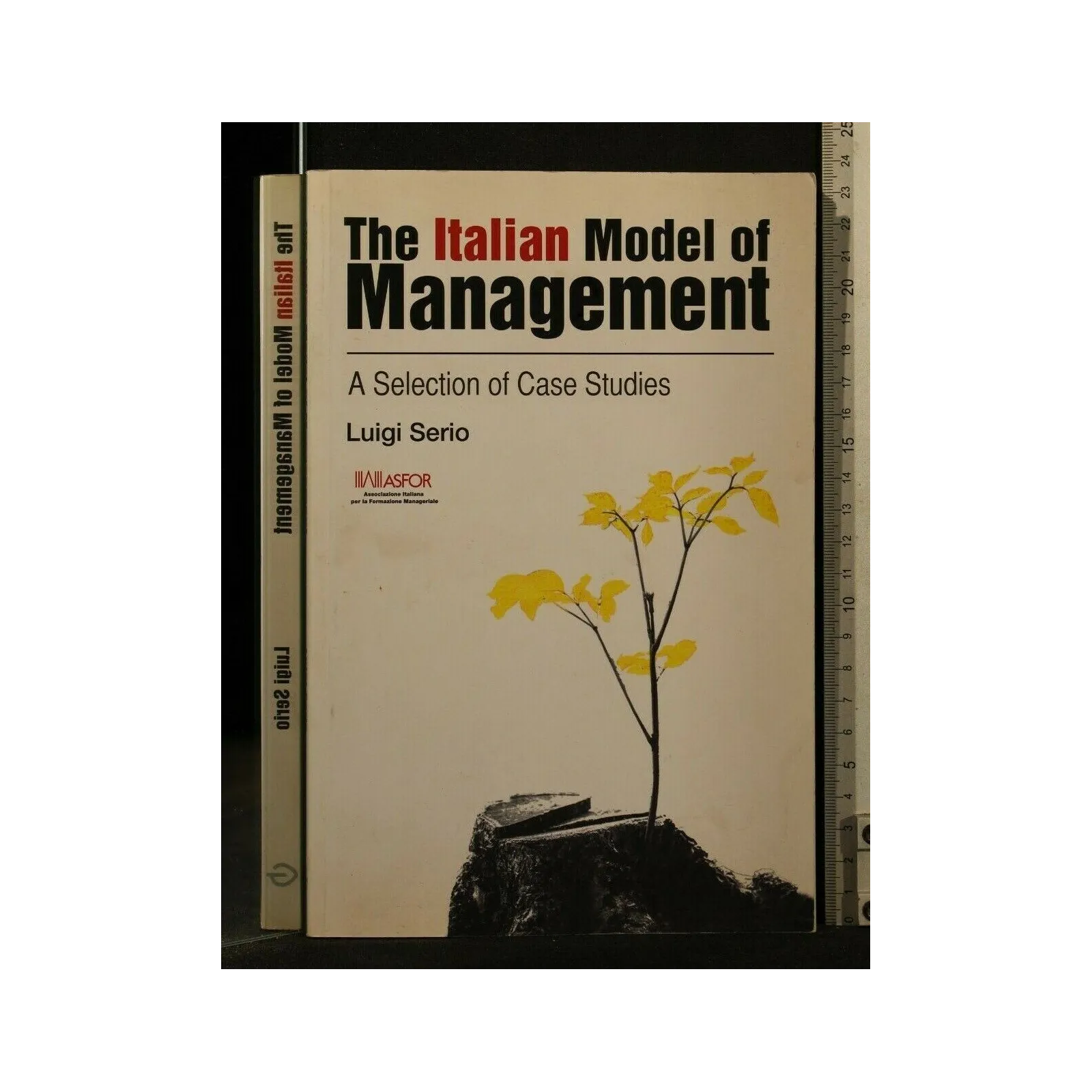 THE ITALIAN MODEL OF MANAGEMENT