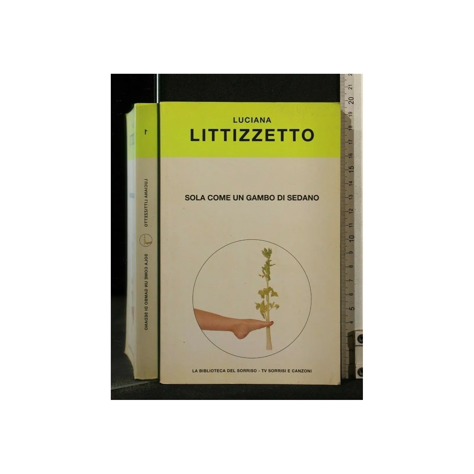 SOLA COME UN GAMBO DI SEDANO