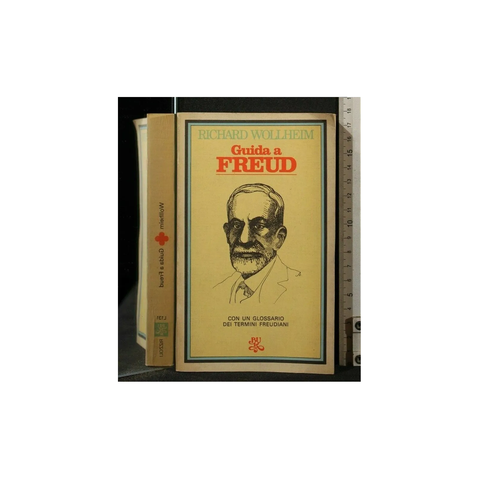 GUIDA A FREUD