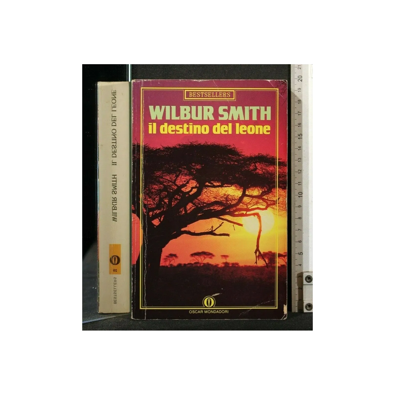 IL DESTINO DEL LEONE