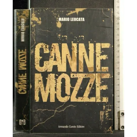 CANNE MOZZE