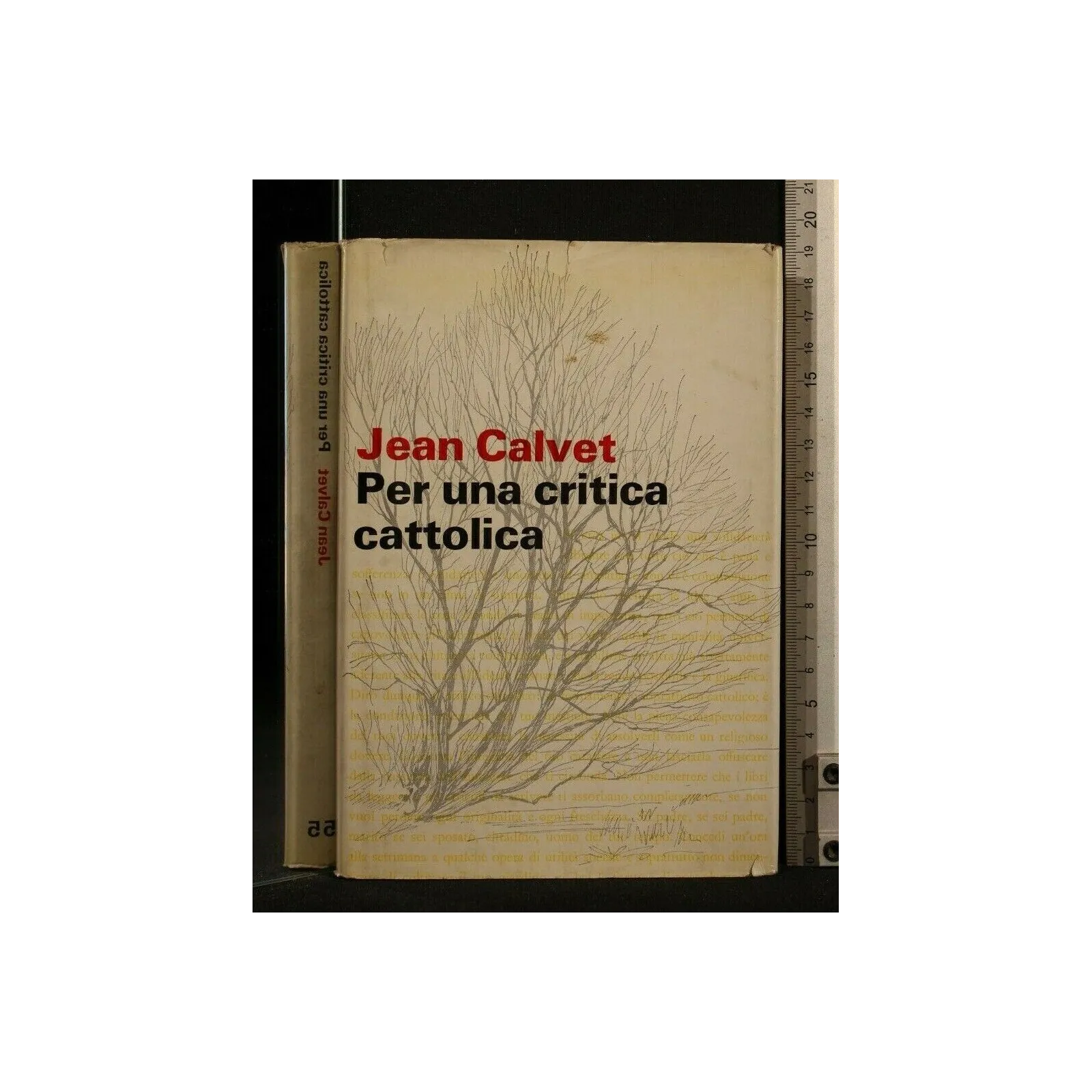 PER UNA CRITICA CATTOLICA