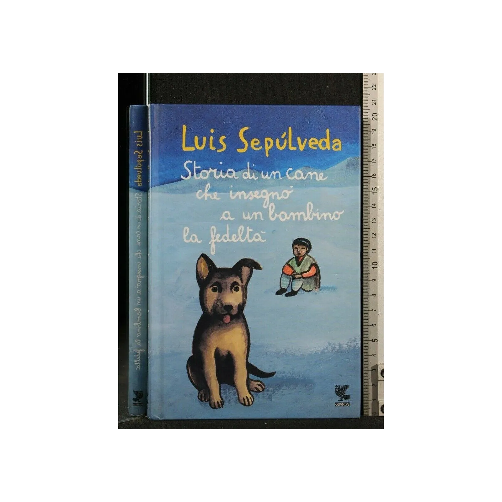 STORIA DI UN CANE CHE INSEGNO' A UN BAMBINO LOA FEDELTA'