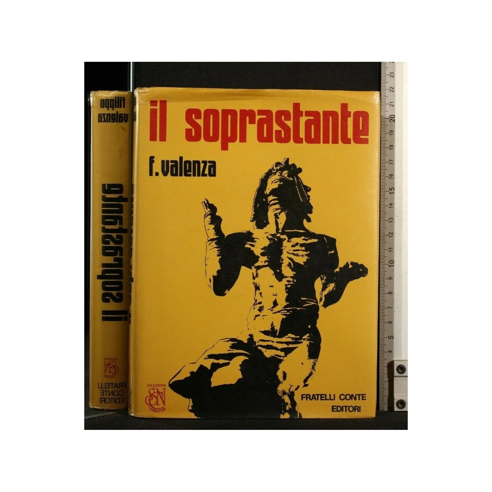IL SOPRASTANTE